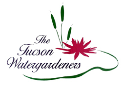 [The Tucson Watergardener's logo]